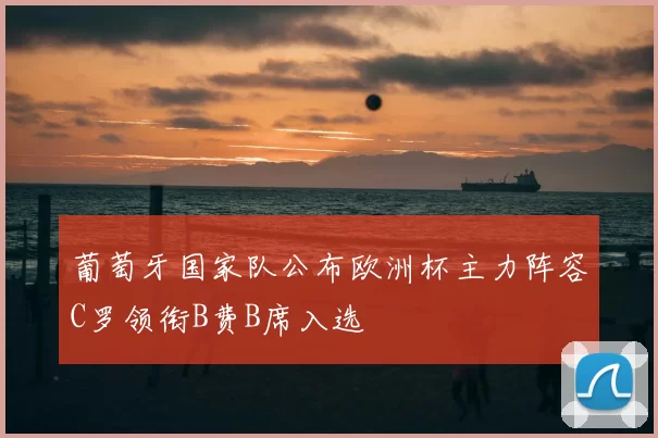 葡萄牙国家队公布欧洲杯主力阵容C罗领衔B费B席入选