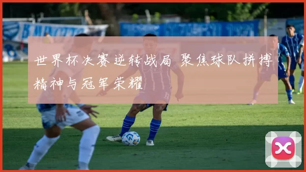 世界杯决赛逆转战局 聚焦球队拼搏精神与冠军荣耀