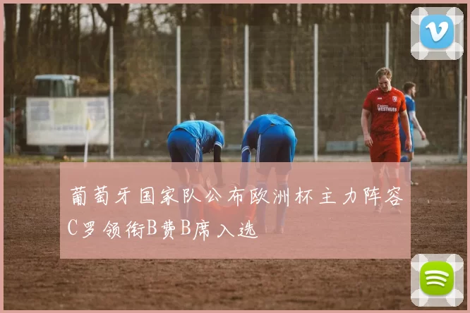 葡萄牙国家队公布欧洲杯主力阵容C罗领衔B费B席入选